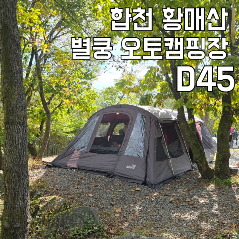 합천 황매산 별쿵 캠핑장 D사이트 45번 억새 캠핑 후기