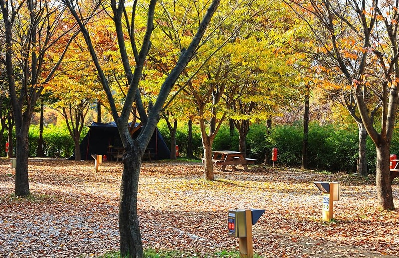 안성맞춤 캠핑장 시설 사진 25