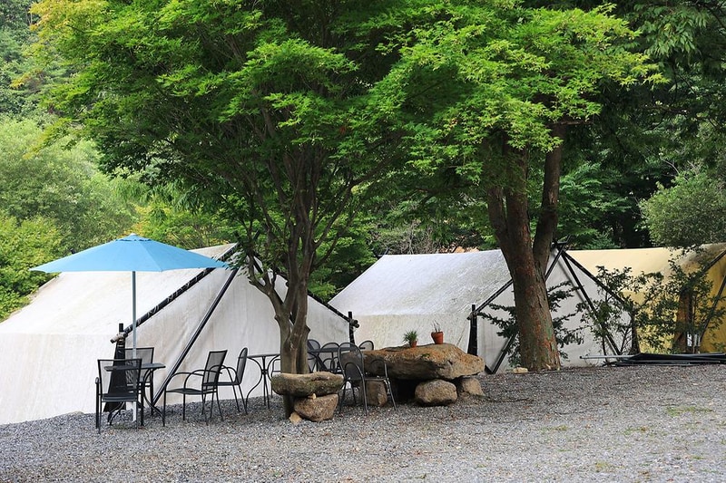 태양힐링숲 시설 사진 15