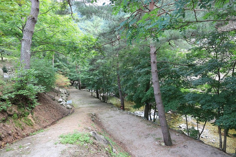 폭포 캠핑 야영장 시설 사진 18