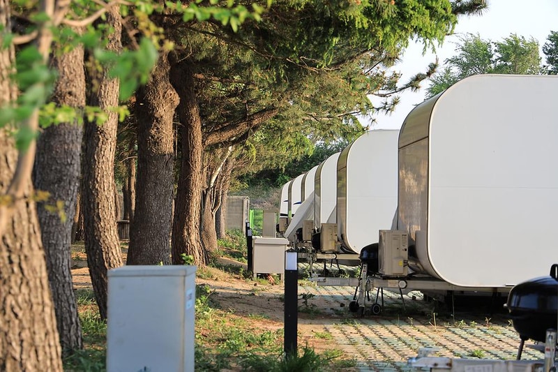 솔향강릉오토캠핑장 시설 사진 20