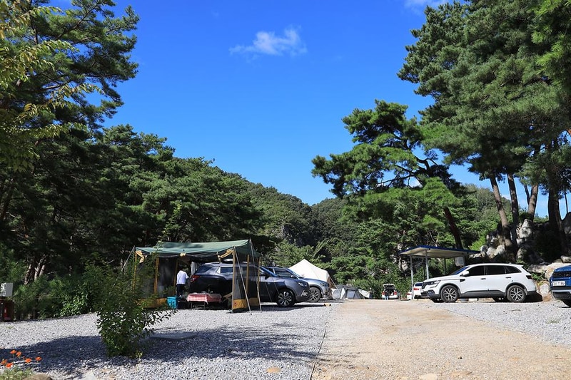 영월한반도캠핑장 시설 사진 23