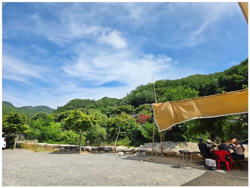 가능한 계곡, 아이들과 반려견 모두 즐거운 군위 솔밭야영장