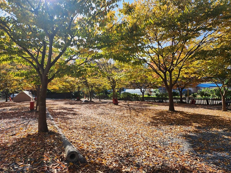 굼벵이캠핑장 시설 사진 6