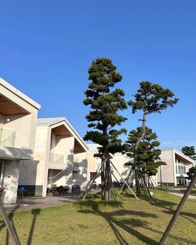 동해 망상오토캠핑리조트 : ⛱️ 바다뷰 리조트 • 난바다...