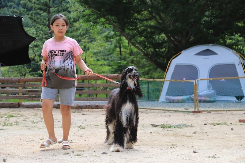미산분교 캠핑장 시설 사진 1