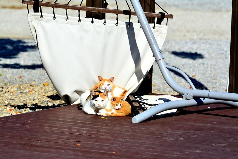 플로렌스 글램핑 & 캠핑 시설 사진 2