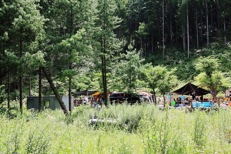 반딧불이 시설 사진 5