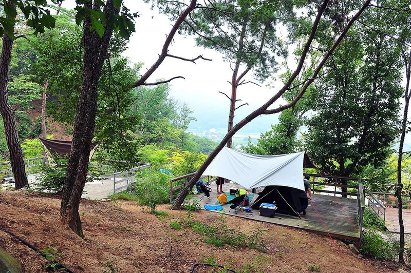 청담 관광농원 시설 사진 9