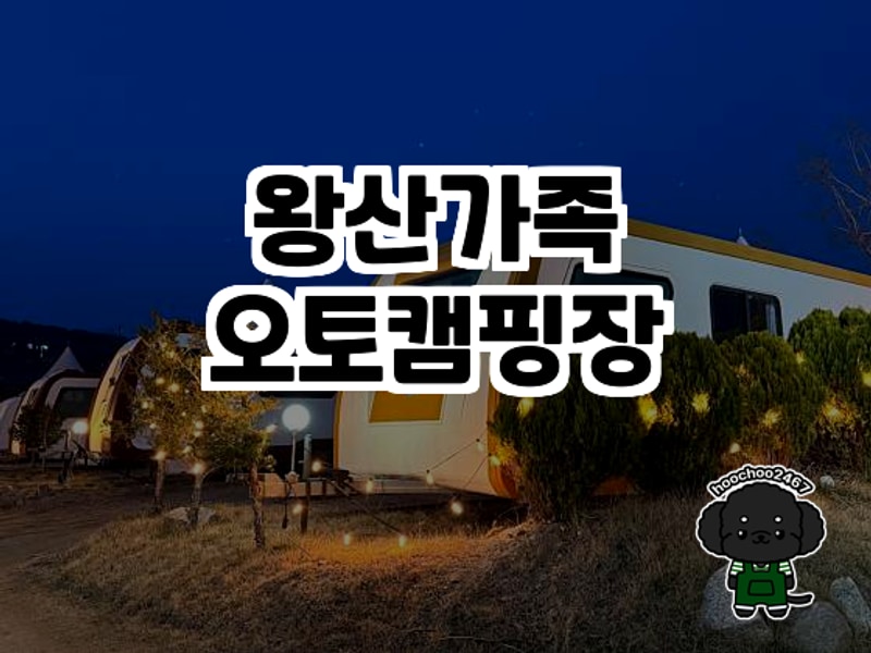 해변 바로 옆에서 즐기는 완벽한 캠핑 | 왕산가족오토캠핑장