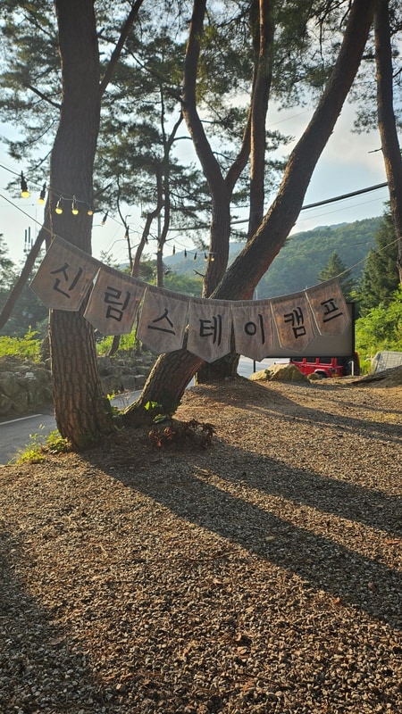 [강원도 원주 신림스테이캠프] 깨끗한 시설·수영장·계곡까지...