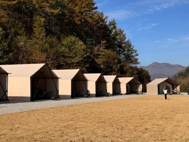 호랑이캠핑 포천 한탄강점 : 감성글램핑 친구들과 우정여행...