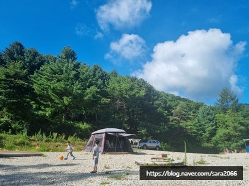 화천 드림캠핑장의 여름