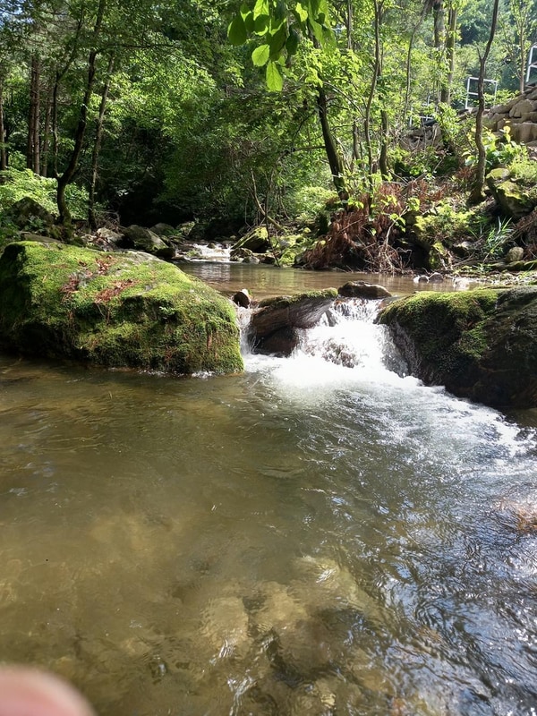 개울가에캠핑관광농원 시설 사진 8