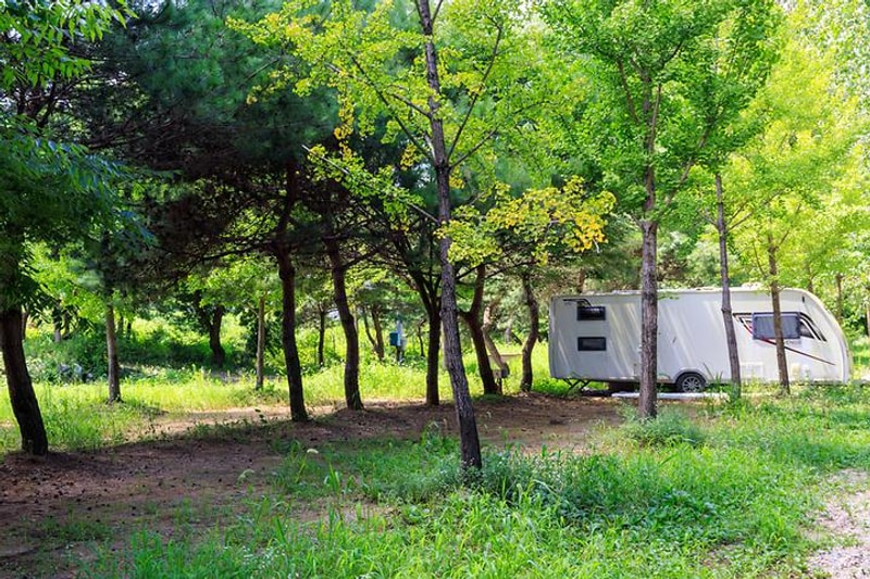 치휴관광농원 야영장 대표 사진
