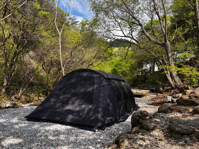 충북 제천 덕동리301캠핑장에서 숲 속 낭만 가득한 캠핑 후기...