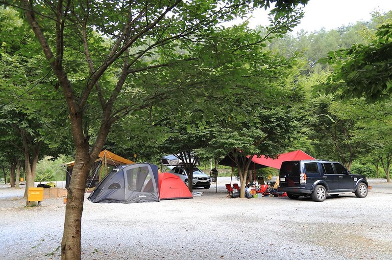 영월약수터 오토캠핑장 시설 사진 11