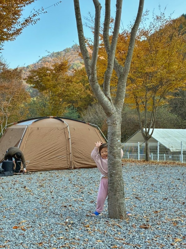 원주 키즈캠핑장 우주캠프 놀기 좋은 소규모캠핑장