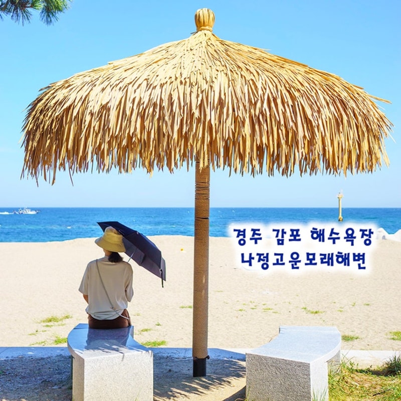 경주 감포 해수욕장 나정고운모래해변 오토캠핑장