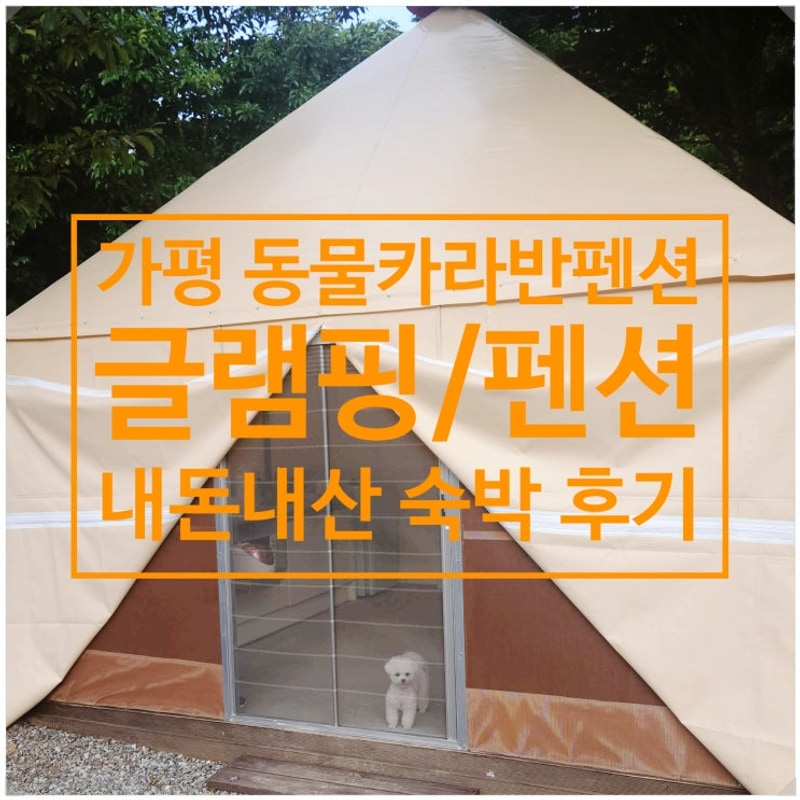 (내돈내산) 가평 애견동반 동물카라반펜션 글램핑 펜션 방문 후기
