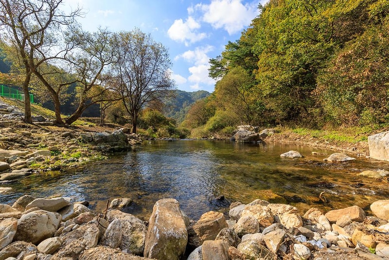 백운일출캠핑장 시설 사진 17