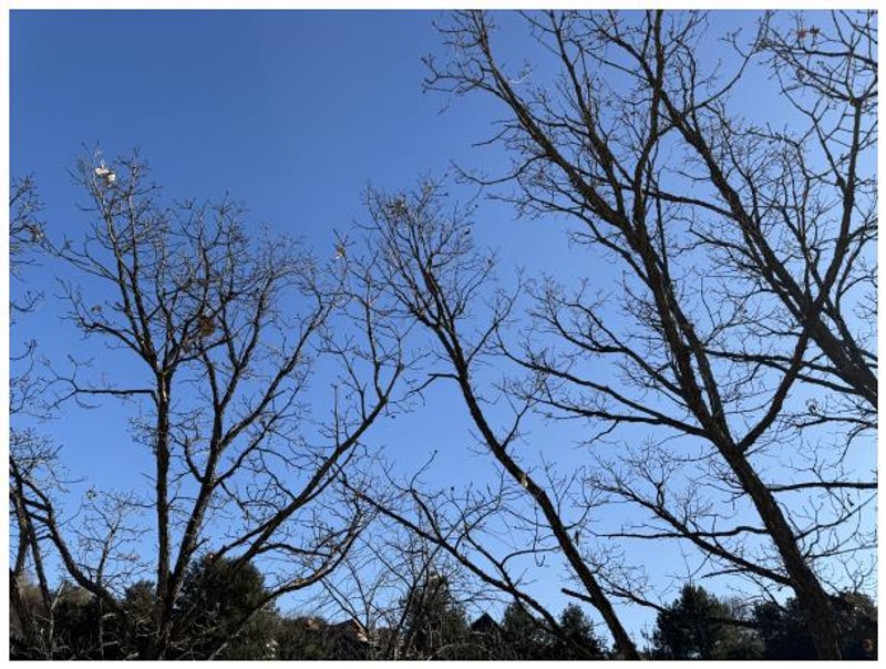 가평 더아리웃집 모롱공간, 글램핑과 계곡으로 완벽한 가족 여행