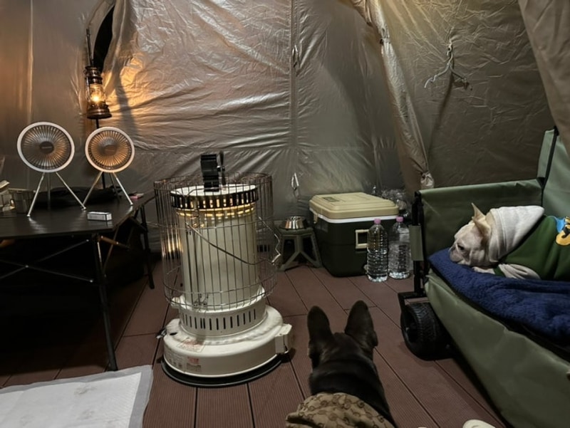 대구 근교 청도 애견동반 원더랜드 캠핑장 후기...