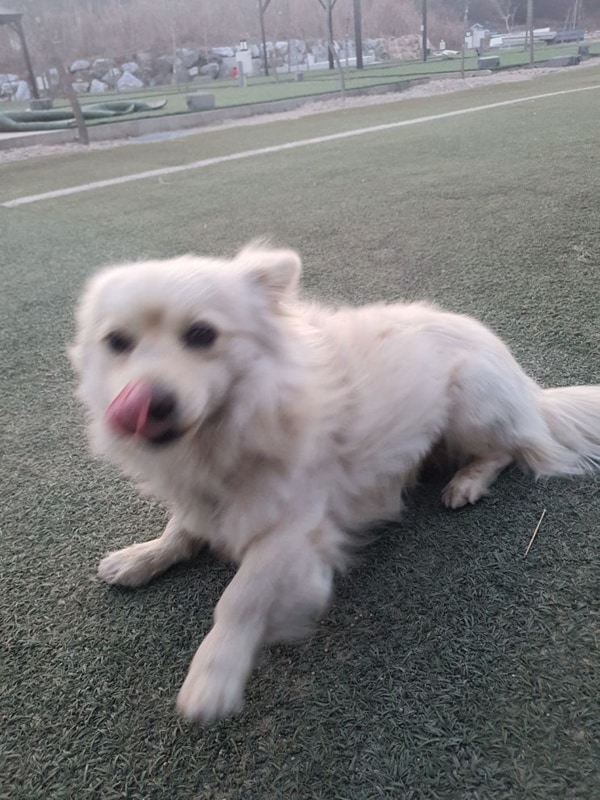 고생캠핑장 시간 보내기 적합한 고성라벤더캠핑장