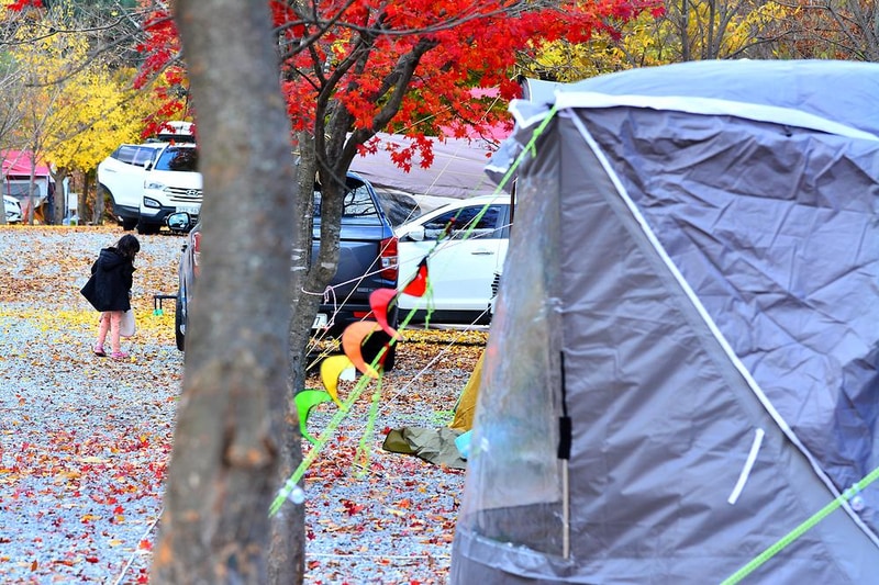 늘푸른쉼터 시설 사진 10