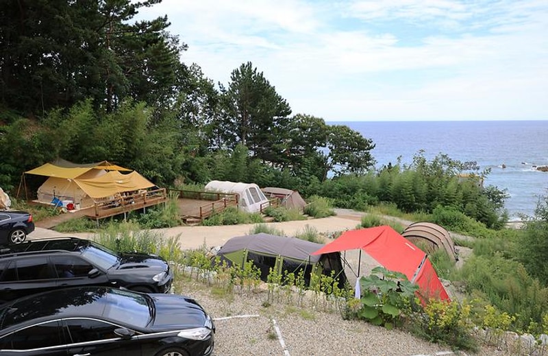 캠프오슬로 대표 사진