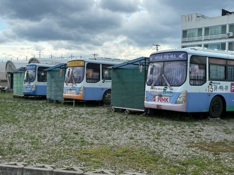 [강릉 사천해변 숙소] 베이스캠프 강릉 카라반 숙박 후기