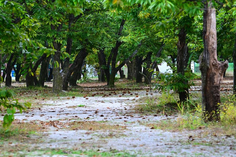 무지개 서는 마을 시설 사진 3