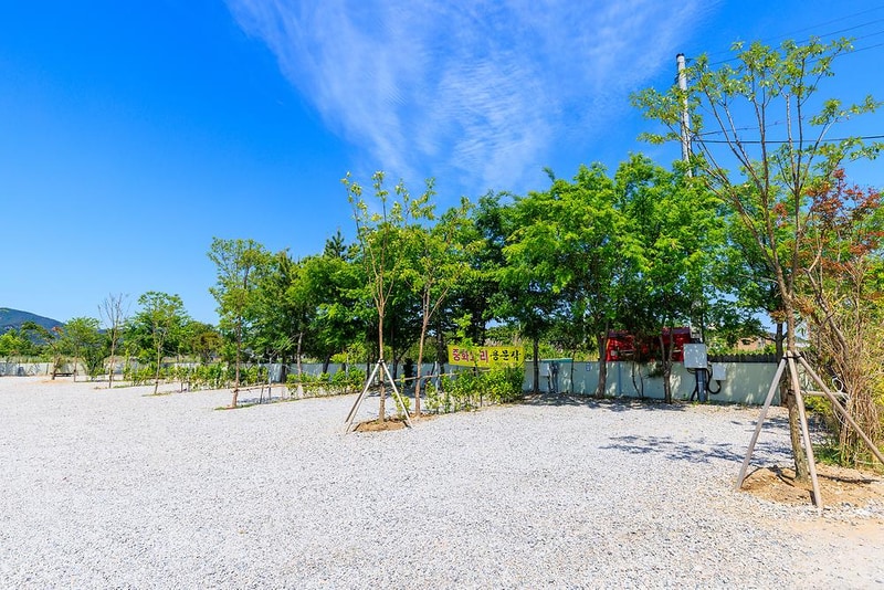 바다야영장 시설 사진 13