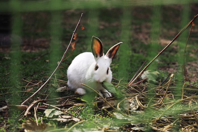뚜뚜글램핑 시설 사진 9