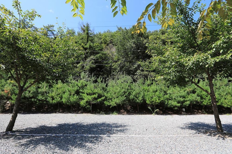 월악힐링캠핑장 시설 사진 1