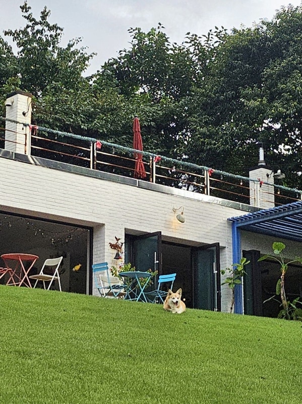 경기도 가평 포레스트 소울 캠핑장