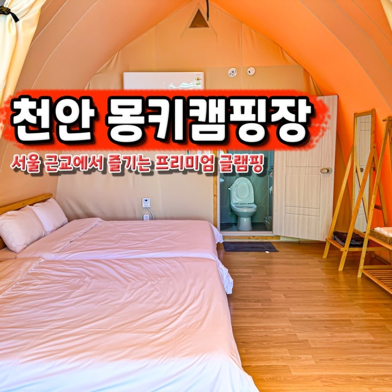 서울 근교 천안 글램핑 몽키캠핑장 신축 충남 글램핑장