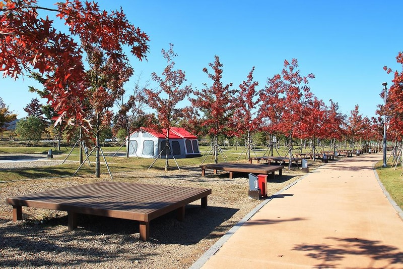 구미캠핑장 시설 사진 2