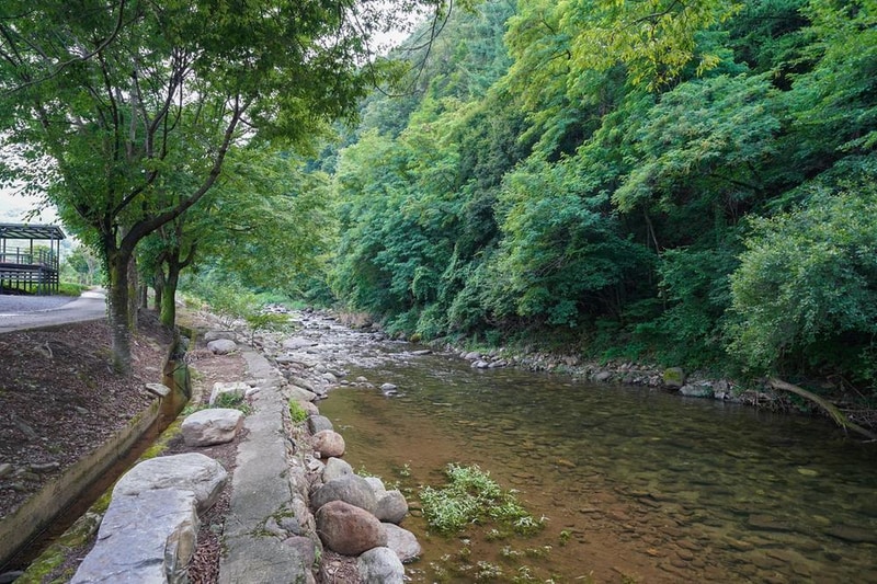 소백산 별빛감성 캠핑장 시설 사진 4