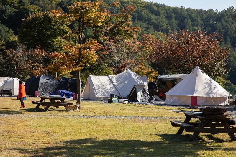 은하수 캠핑장 시설 사진 13