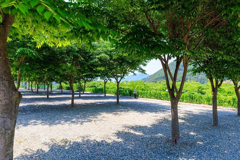 밀양 가보자 캠핑장 시설 사진 6