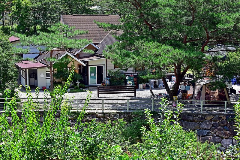 무릉도원 오토캠핑장 시설 사진 12