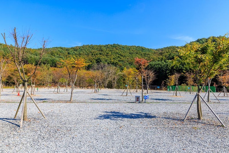 노리터 키즈 캠핑장 시설 사진 16