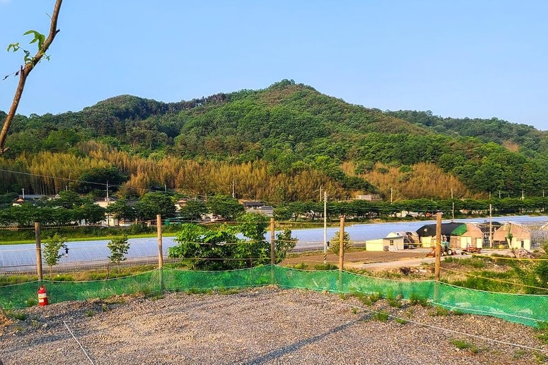 다시캠핑장위드펫 시설 사진 3