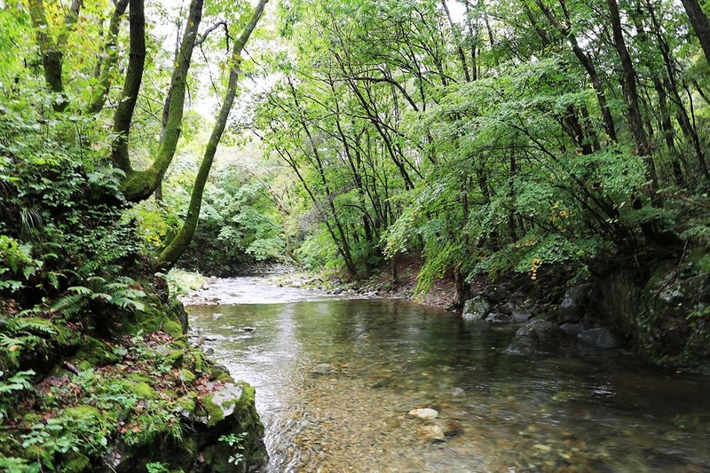 산마을 풍경 시설 사진 12