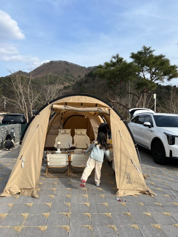 가평 강아지운동장 있는 애견동반 캠핑장 아워포레스트