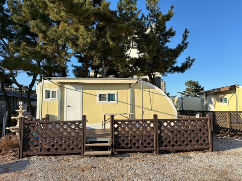 ㅣ 강릉숙소 ㅣ강원도여행 가성비숙소 강릉여행 굿캠핑