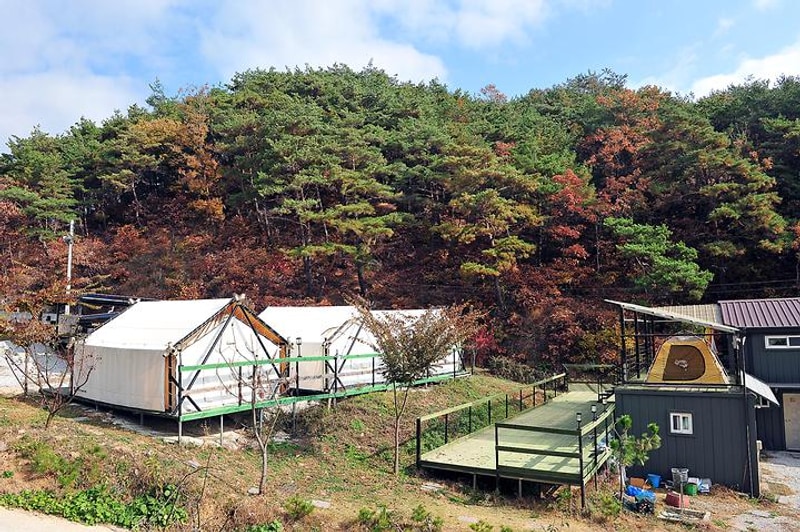 룩스글램핑앤팜 대표 사진