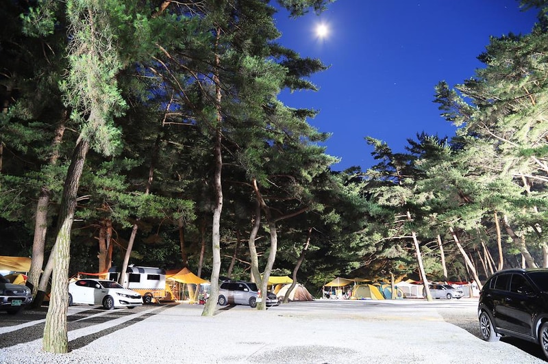 솔밭 캠프장 시설 사진 4