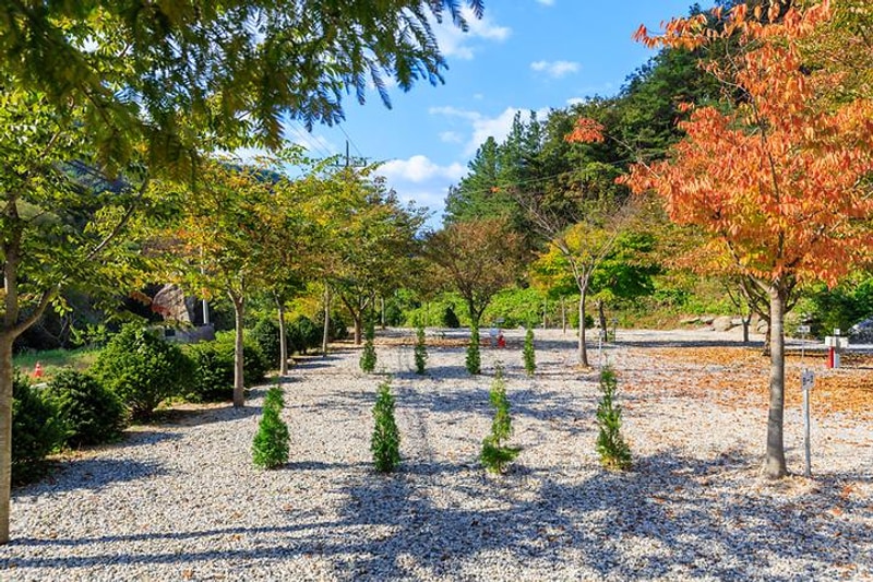 별하숲캠핑장 대표 사진